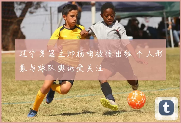 辽宁男篮主帅杨鸣被传出轨 个人形象与球队舆论受关注