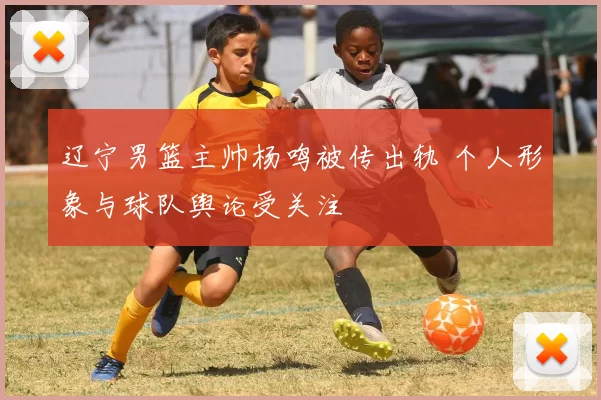 辽宁男篮主帅杨鸣被传出轨 个人形象与球队舆论受关注