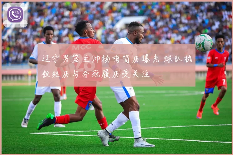 辽宁男篮主帅杨鸣简历曝光 球队执教经历与夺冠履历受关注