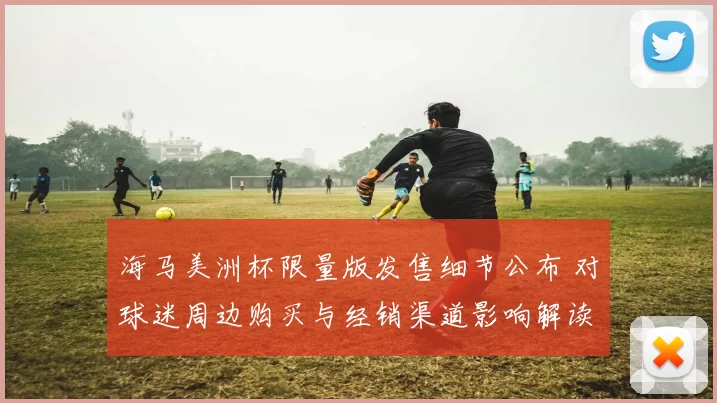 海马美洲杯限量版发售细节公布 对球迷周边购买与经销渠道影响解读