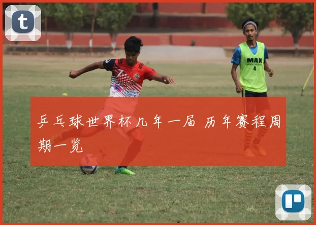 乒乓球世界杯几年一届 历年赛程周期一览