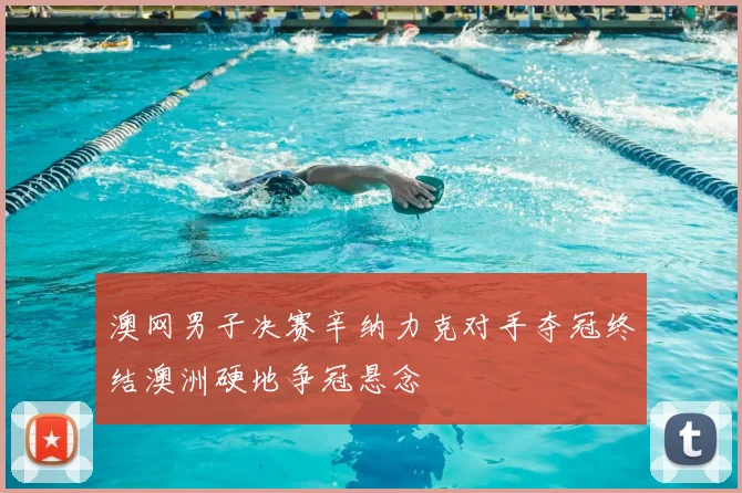 澳网男子决赛辛纳力克对手夺冠终结澳洲硬地争冠悬念