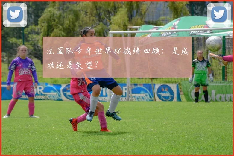 法国队今年世界杯战绩回顾：是成功还是失望？