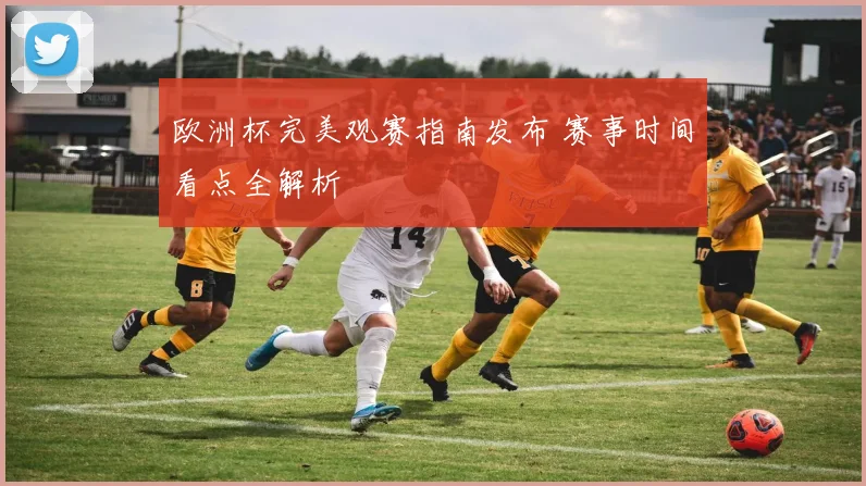 欧洲杯完美观赛指南发布 赛事时间看点全解析